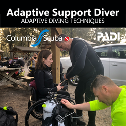 Adaptive Support Diver